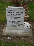 image of grave number 238863